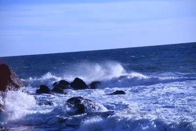 DSC_0585 (Large).JPG